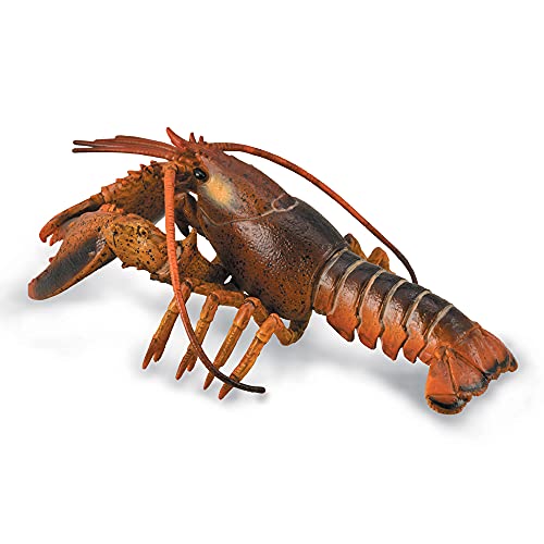 Collecta Deqube 90188920 Sammelfigur Deluxe - Hummer Collecta Deqube 90188920 Sammelfigur Deluxe - Hummer von Collecta