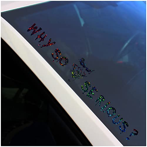 Frontscheibenaufkleber Schriftzug Why so serious? Joker Aufkleber für Windschutzscheibe Heckscheibe Frontscheibe Auto Fahrzeug Dekor Sticker FS56 (Flakes Schwarz, Außenklebend) von Finest Folia