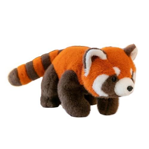 Fiotha Roter Panda Kuscheltier, 30cm Plüschtier, Waschbär, Red Panda Plush, Kawaii Plüschtier, Geschenke für Mädchen und Jungen von Fiotha