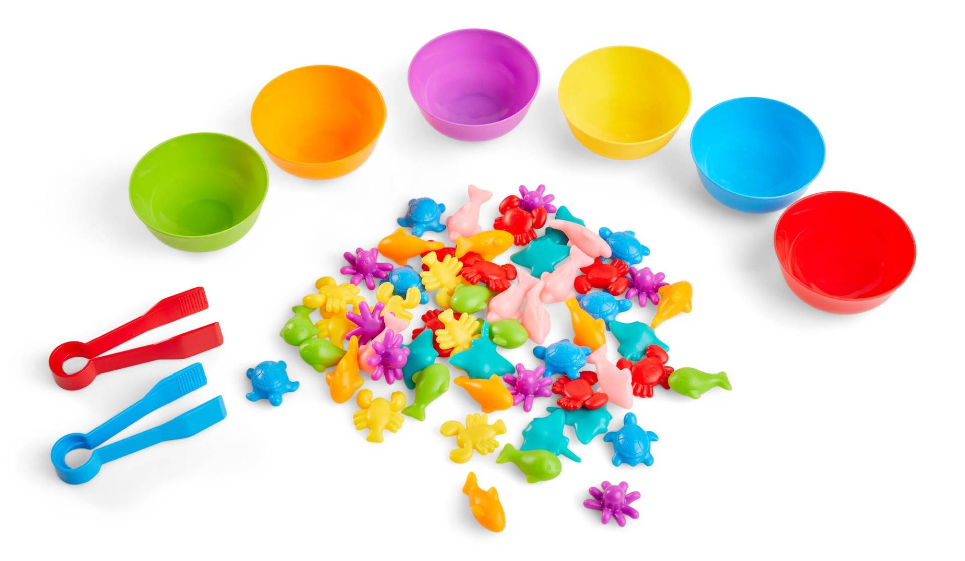 Fippla Aktivitätsspielzeug Zählen und Sortieren, Babyspielzeug von Fippla
