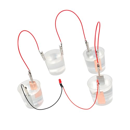 SALTERWATER BATTERSION SCEY Kits STEM LERNGENDEGLEY Toy SALTERWATER BATTERION Set Sett von Fitooles