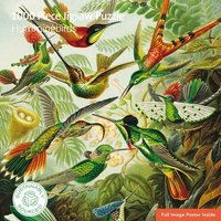 Puzzle - Ernst Haeckel, Kolibris Puzzle - Ernst Haeckel, Kolibris von Brown Trout-Auslieferer Flechsig