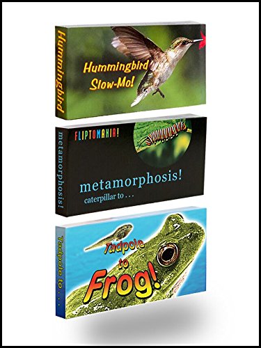 Fliptomania Natur-Daumenkino 3-Pack: Schmetterling, Kolibri, und Frosch-Flip Books von Fliptomania