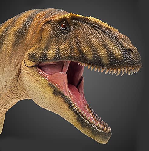 FloZ PNSO Carcharodontosaurus Gamba Dinosaurier Modell Spielzeug Sammlerstück Werkstatt Sonderversion von FloZ