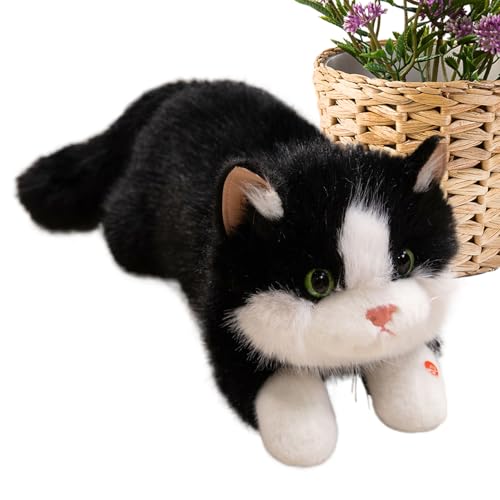 Gefüllte Katze - Realistisches Plüschtier, Weiches Spielzeug | Interaktive Katzenpuppe Mit Klang, Kinderzimmer Schlafzimmer Dekoration, Geburtstags -Weihnachtsgeschenkidee Für Kinder Mädchen Un Gefüllte Katze - Realistisches Plüschtier, Weiches Spielzeug | Interaktive Katzenpuppe Mit Klang, Kinderzimmer Schlafzimmer Dekoration, Geburtstags -Weihnachtsgeschenkidee Für Kinder Mädchen Un von Fmzrbnih