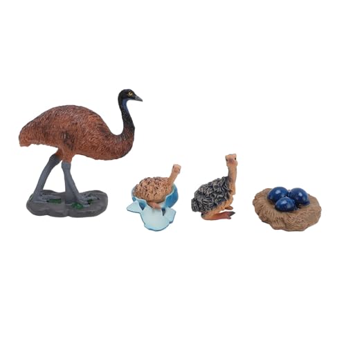 Focket Straußenfigur, PVC Kunststoff Realistisches Design Wildtier Spielzeug Anschauliche Demonstration des Wachstumszyklus des Straußes Straußenmodell für Kindergarten Schule von Focket