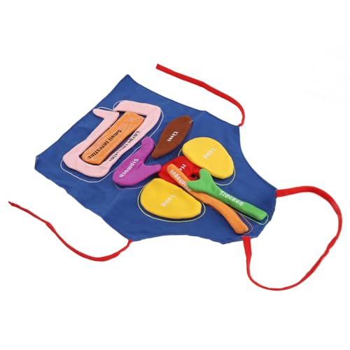 Fockety 3D-Orgelschürze, Abnehmbare Schürze für Menschlich Körperorgane Anatomie-Kostümschürze Fockety 3D-Orgelschürze, Abnehmbare Schürze für Menschlich Körperorgane Anatomie-Kostümschürze von Fockety