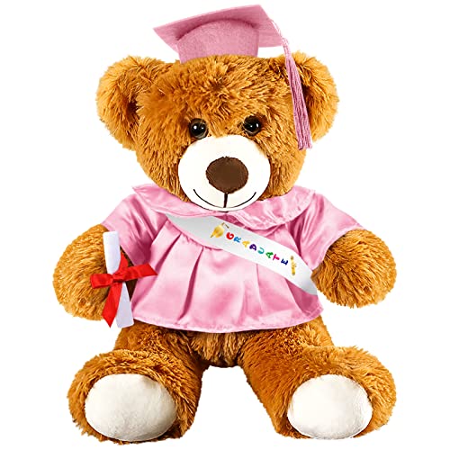Foilswirl Plüschbär mit Kleid, Kappe, Quaste, Abschluss, Stoffbär, Spielzeug, Abschlussbär, Puppe für Abschlussfeier, Schule (Rosa, 22,9 cm) von Foilswirl