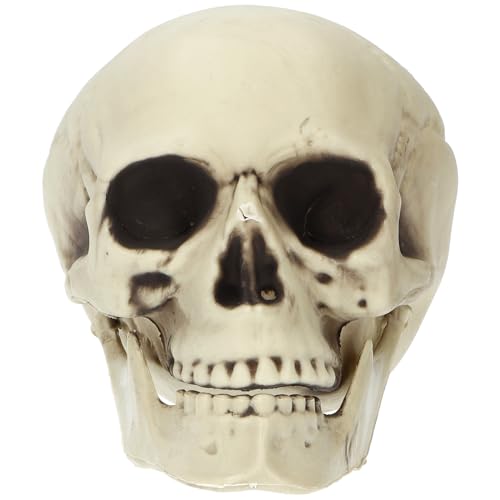 Folat 23916 Halloween Deko - Dekoration - Totenkopf - Halloween - 14 x 17 x 19 cm - Gruseliges Horror Decoration Für Halloween-Dekorationen Spukhaus & Halloween Party Folat 23916 Halloween Deko - Dekoration - Totenkopf - Halloween - 14 x 17 x 19 cm - Gruseliges Horror Decoration Für Halloween-Dekorationen Spukhaus & Halloween Party von Folat