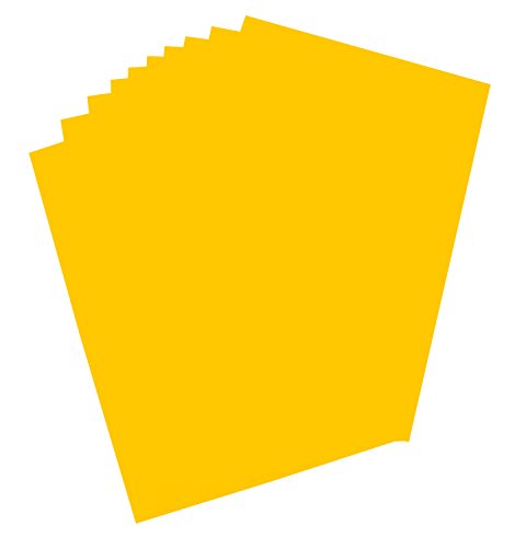 folia 65611 - Plakatkarton, ca. 48 x 68 cm, 10 Bögen, 380 g/qm, einseitig gold gefärbt - ideal zum Basteln oder Erstellen von Plakaten und Anzeigen von folia