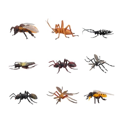 Folpus 9 Stück realistische Tierspielzeuge, Lernspielzeug, Dekoration, Gastgeschenke, Geschenk, Aktionsmodell, Wissenschaft, pädagogisch für die Schule, Folpus 9 Stück realistische Tierspielzeuge, Lernspielzeug, Dekoration, Gastgeschenke, Geschenk, Aktionsmodell, Wissenschaft, pädagogisch für die Schule, von Folpus