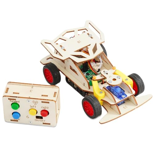 Folpus DIY Mini Fernbedienung Car Toy Toy 3D Puzzle Spielzeug physische Experiment -Unterrichtsmaterialien für Teenager von Folpus