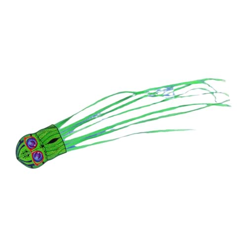 Folpus Große Kite Cartoon Tier Drachen Long Tail Beach Kite fliegen Spiel für Garten, GrÜn von Folpus