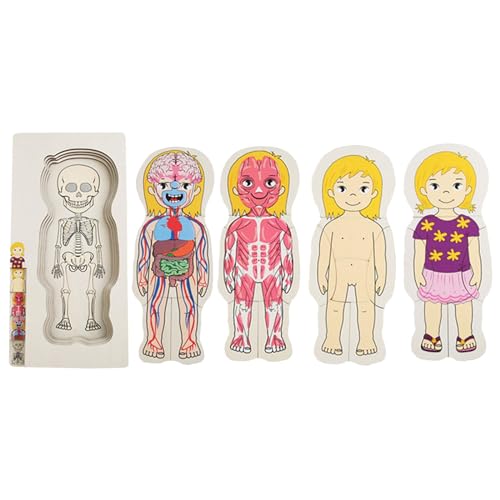 Folpus Holzpuzzle Menschlicher Körper Spielzeug Lernspielzeug Set Holzspielzeug Lehrmittel Lernen Körperteile Skelettmodell, Mädchen von Folpus