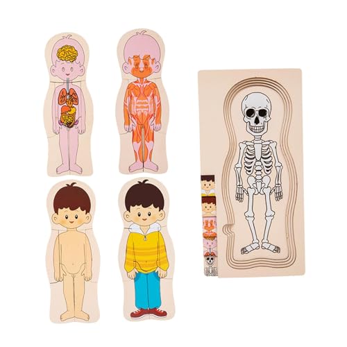 Folpus Holzpuzzle-Spielzeug „Der menschliche Körper“, Puzzle mit menschlichen Körperteilen für Mädchen und Jungen im Alter von 3, 4, 5 und 6 Jahren, Junge von Folpus