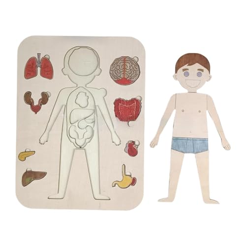 Folpus Holzpuzzle zum menschlichen Körper für, Anatomiepuzzle, Lehrmittel für Feinmotorik, Spielset zum Erlernen von Körperteilen Folpus Holzpuzzle zum menschlichen Körper für, Anatomiepuzzle, Lehrmittel für Feinmotorik, Spielset zum Erlernen von Körperteilen von Folpus
