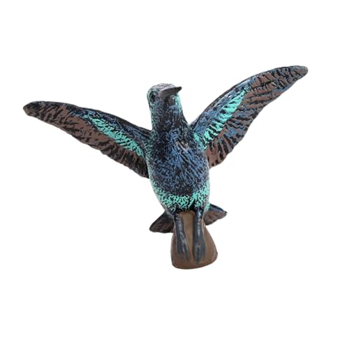Folpus Hummingbird Model Figur Animal Skulpturensammlung Kinder Spielzeugstatue -Figur für Innenräume im Freien für Geburtstagsgeschenk Ornamente, 2997 Folpus Hummingbird Model Figur Animal Skulpturensammlung Kinder Spielzeugstatue -Figur für Innenräume im Freien für Geburtstagsgeschenk Ornamente, 2997 von Folpus