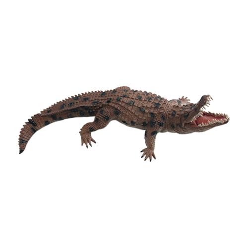 Folpus Krokodilfigur, Spielzeug, Alligatorfigur für Jungen und Mädchen, Geschenk für, dekorative, weiche Kollektion, realistisch, pädagogisch, Braun von Folpus