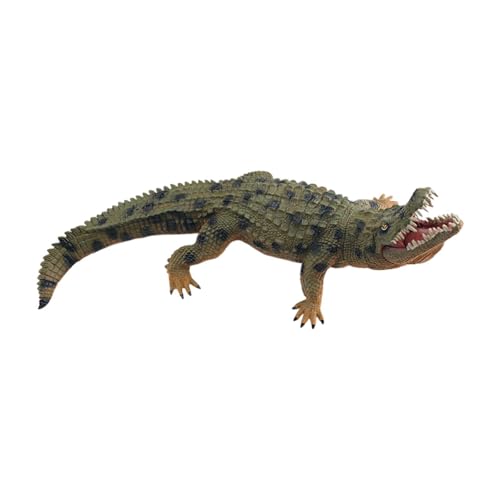 Folpus Krokodilfigur, Spielzeug, Alligatorfigur für Jungen und Mädchen, Geschenk für, dekorative, weiche Kollektion, realistisch, pädagogisch, GrÜn von Folpus