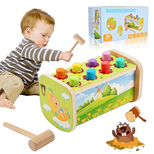 Forhome Montessori Spielzeug Hammer Spiel,Spielzeug Lernspielzeug mit 1 Hammer,Klopfspiel,Montessori Spielzeug ab 2 3 4 Jahren,Gutes Geschenk für Baby Kleinkinder von Forhome