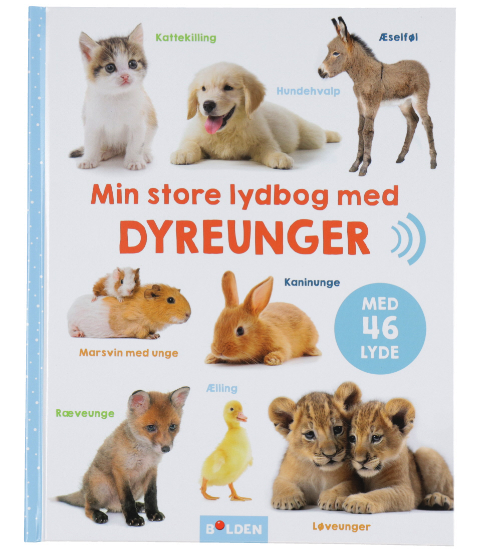 Forlaget Bolden Buch m. Tönen - Mein Große Hörbuch m. Tierjungen - Forlaget Bolden - One Size - Buch m. Tönen Forlaget Bolden Buch m. Tönen - Mein Große Hörbuch m. Tierjungen - Forlaget Bolden - One Size - Buch m. Tönen von Forlaget Bolden