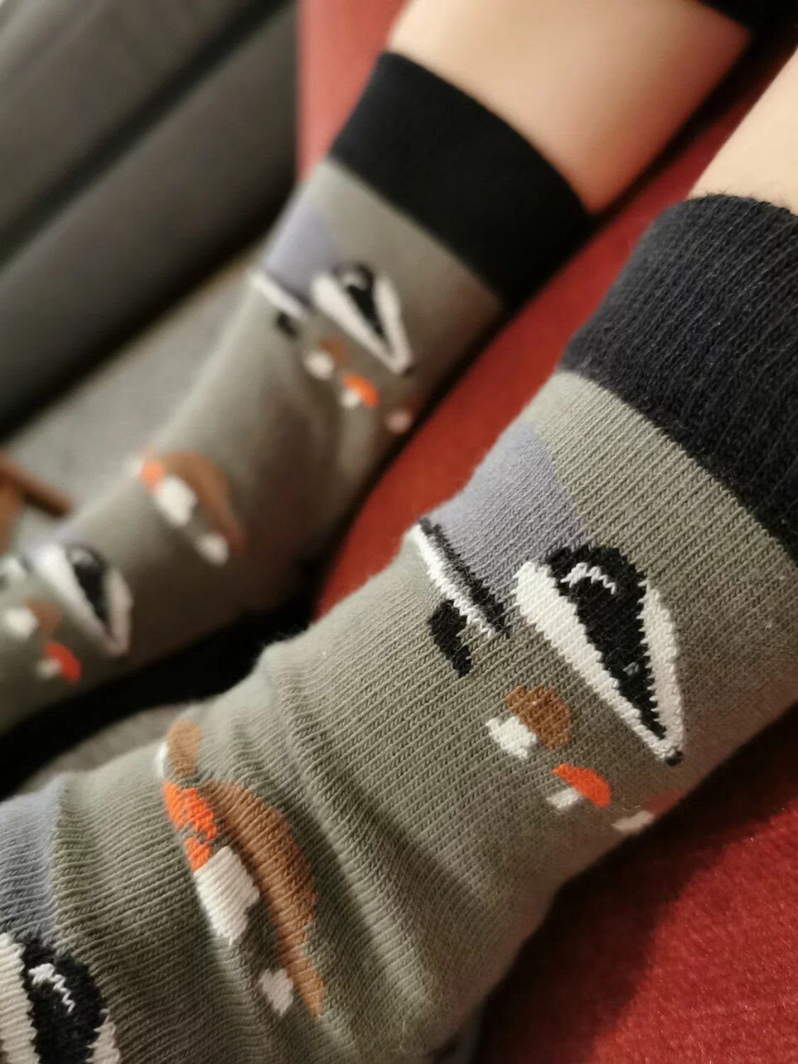 Fräulein Prusselise Kindersocken (Bio) - 23-26 Dachs von Fräulein Prusselise