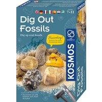 MBE Dig Out Fossils INT MBE Dig Out Fossils INT von Franckh-Kosmos Verlags-GmbH & Co.KG