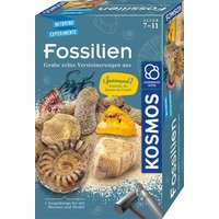 Fossilien Fossilien von Franckh-Kosmos Verlags-GmbH & Co.KG