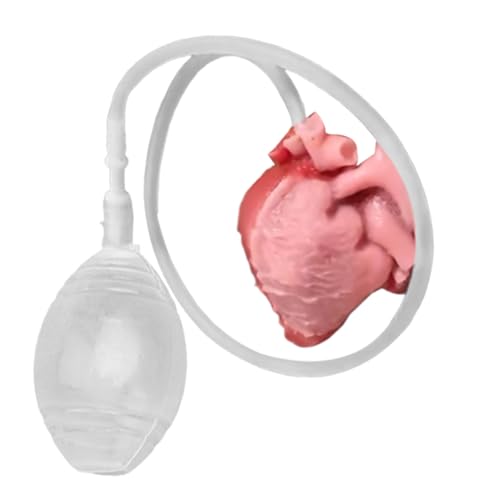 Fidget Toy, Stress Ball, Schreibtischzubehör, Slow-Rebound Squeeze Heart mit realistischem Pulse, Prank Sensory Game, tragbare Taschengröße für Studenten, Erwachsene, Party, Büro, Urlaub Fidget Toy, Stress Ball, Schreibtischzubehör, Slow-Rebound Squeeze Heart mit realistischem Pulse, Prank Sensory Game, tragbare Taschengröße für Studenten, Erwachsene, Party, Büro, Urlaub von Fravsiu