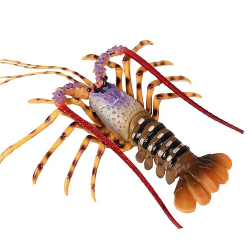 Freefire Realistische Tier Figuren Australischen Hummer Meer Tier Spielzeug, Wissenschaft Projekt, Kuchen Topper, frühen Pädagogisches Spielzeug Geburtstag Weihnachten Geschenk für Kleinkinder(Bunte) Freefire Realistische Tier Figuren Australischen Hummer Meer Tier Spielzeug, Wissenschaft Projekt, Kuchen Topper, frühen Pädagogisches Spielzeug Geburtstag Weihnachten Geschenk für Kleinkinder(Bunte) von Freefire