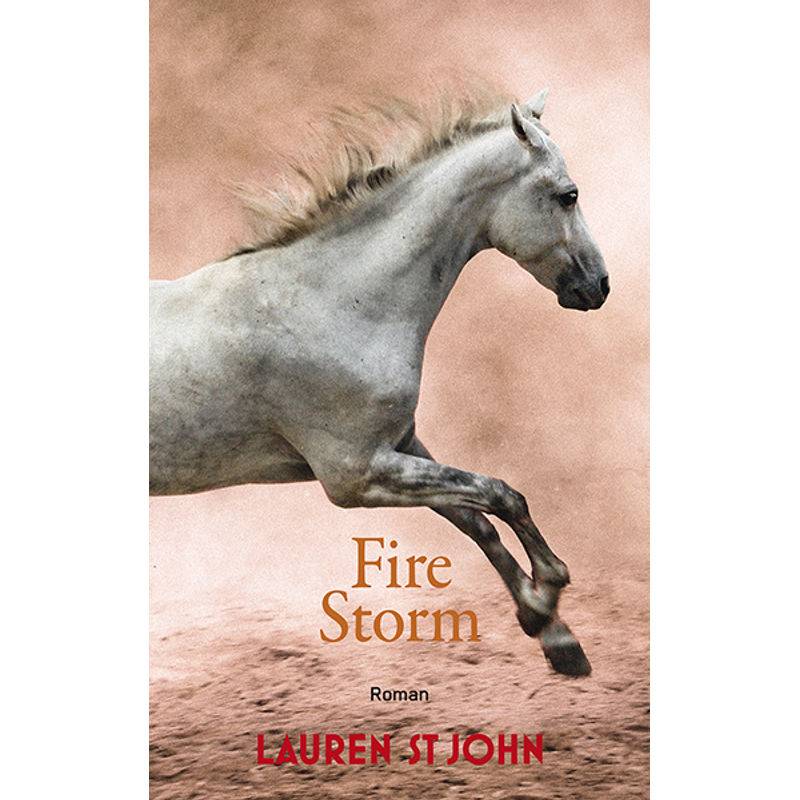 Fire Storm / One Dollar Horse Bd.3 von Freies Geistesleben