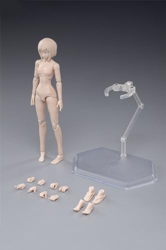 1/12 Skala Weiblich Körper,6inch Female Joint Flexible Action Figur Körper mit Kopf Sculpt&Stand Sammlung (T86-ST01 Blasse Haut Little Bust) von Fremego