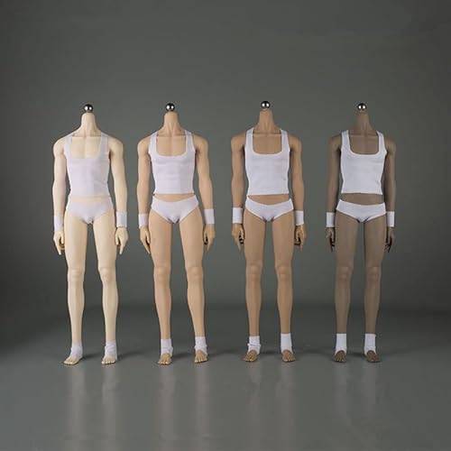 1/6 Skala Männlicher Körper,JIAOU DOLL 12inch Super Flexible Männlich Nahtlos Lange Beine Muskel Action Figur Körper Sammlerstück (JOK-17A-YS Normale Haut) von Fremego