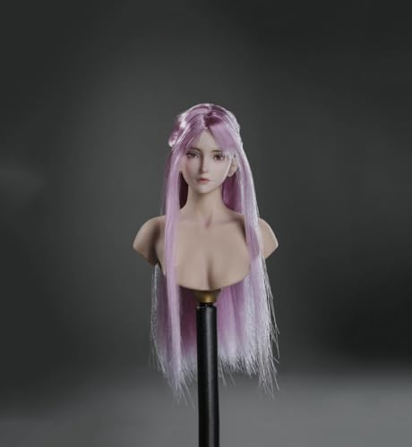 1/6 Skala Weibliche Kopf-Skulptur,Schönheit Anime Mädchen Lange Gepflanzt Haar Kopf Geschnitzt für 12inch Weiblich PH TBL VC JO Action Figur Körper (D) von Fremego