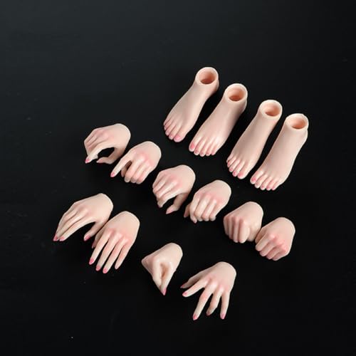1/6 Skala Weiblicher Körper Hände Form, 5 Paar Hände Arten Geste und 2 Paar Fuß Form Modell Zubehör Makeup Version für 12inch Nahtlose Weibliche Action Figur Körper (Blasse Haut) von Fremego