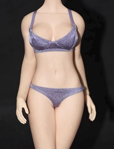 1/6 Weibliche Kleidung, Frauen Bras Briefs Unterwäsche Kostüm Outfit Kleidung für 12inch Weibliche PH TBL JO UD Action Figur Körper (Lila) von Fremego