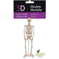 3D-Modell, Skelett 3D-Modell, Skelett von Fridolin GmbH