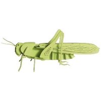 3D-Modell, Heuschrecke 3D-Modell, Heuschrecke von Fridolin