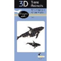 3D-Modell, Orca 3D-Modell, Orca von Fridolin