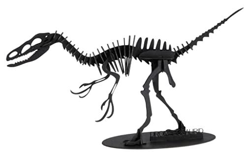 Fridolin 3D Papiermodell Dromaeosaurus von Fridolin