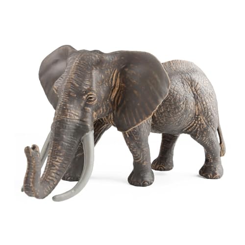 Frotox Realistisches Elefantenmodell Für Wissenschaftliche Ausstellungen Und Klassenzimmer. Afrikanisches Tiermodell Zur Ausstellung Und Sammlung. Elefantenspielzeug Für Kinder von Frotox