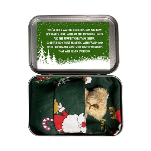 Fulenyi Taschendose, kleiner Weihnachtsbär, in Box Teddybär, klein in Weihnachtsbox, Plüsch-Tasche, Spielzeug mit Karten und Bettdecken für Babyparty Geburtstag von Fulenyi