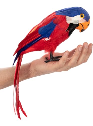 Funidelia | Piraten-Papagei Tiere, Vögel - Dekoration für Geburtstagsfeiern, Kostümpartys, Halloween und Fasching - Bunt von Funidelia