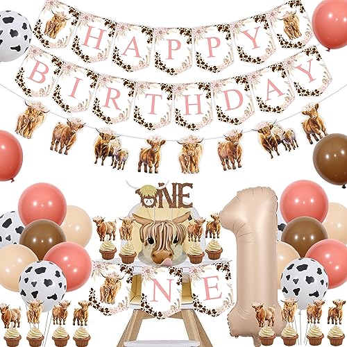 Highland Cow 1st Birthday Decorations Girl Pink Highland Cow Birthday Decorations Boho Highland Cattle Banner Cake Topper Balloons for Holy Cow Im One Farm Animal Birthday Party Supplies von Funmemoir
