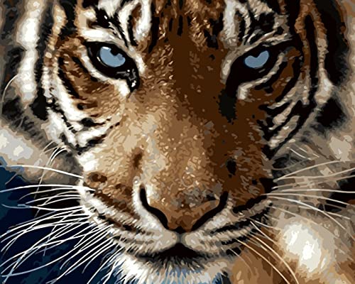 Fuumuui Malen Nach Zahlen Erwachsene und Kinder Anfänger Gemälde inklusive Pinsel und Acrylfarben 40 x 50 cm - Tiere, Tiger von Fuumuui