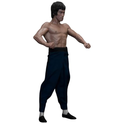 Fuwraixis kämpfender Star Actionfiguren, Originalität Figuren, Fledermaus-Muskel, Echte Kleidung, 2 Sätze von Auswechselbare Kopfskulpturen, Sammelbare Geschenke von Fuwraixis