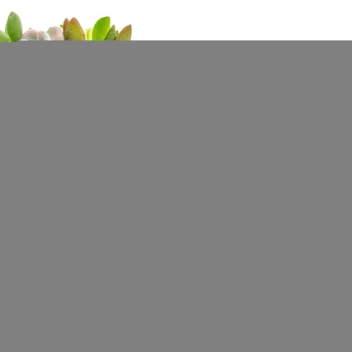 FxaumsGxuk 3D-gedrucktes Spinnenspielzeug, Gelenkspinne,Executive Desk Toys Riesenspinne - 3D bewegliche Spinne Erwachsene Fidget Toys Mystery Spider Halloween Dekorationen FxaumsGxuk 3D-gedrucktes Spinnenspielzeug, Gelenkspinne,Executive Desk Toys Riesenspinne - 3D bewegliche Spinne Erwachsene Fidget Toys Mystery Spider Halloween Dekorationen von FxaumsGxuk