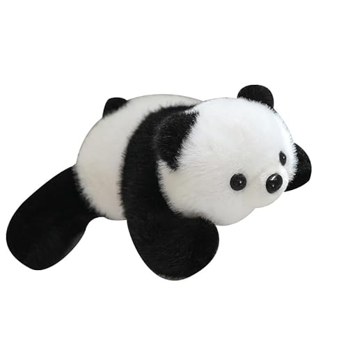 Fycakly Entzückendes Pandabär-Spielzeug, weiches und kuscheliges Stofftier für Kinder, perfekt für Geburtstag, Weihnachten und Zuhause ​​ Kinder Plüschtier Set​​ (White, 20cm) von Fycakly