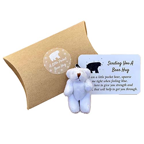 Fycakly Handgemachte Bären-Kleintier-Spielzeugkiste zum Kuscheln präsentiert Exquisite kleine niedliche Karten ​​ Baby Kuscheltier Jungen​​ (A, One Size) von Fycakly