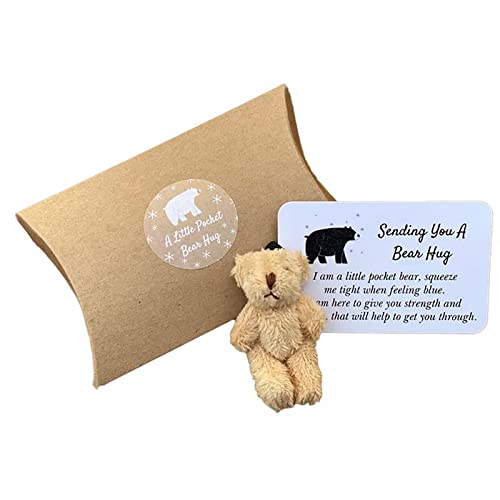 Fycakly Handgemachte Bären-Kleintier-Spielzeugkiste zum Kuscheln präsentiert Exquisite kleine niedliche Karten ​​ Baby Kuscheltier Jungen​​ (C, One Size) von Fycakly
